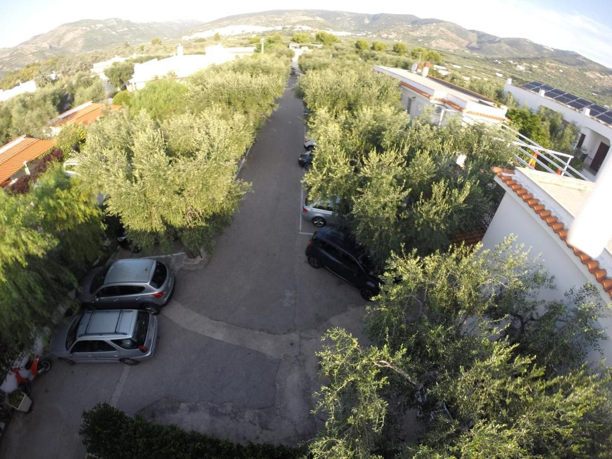 Residence Adriatico Mattinata Exterior photo